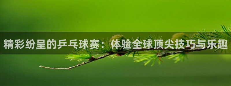 精彩纷呈的乒乓球赛：体验全球顶尖技巧与乐趣