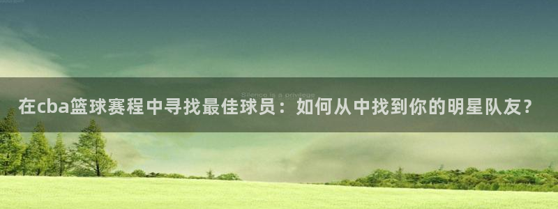 在cba篮球赛程中寻找最佳球员：如何从中找到你的明星队友？