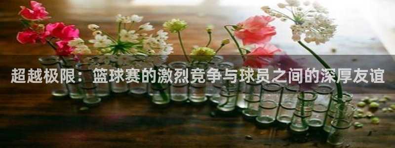 超越极限：篮球赛的激烈竞争与球员之间的深厚友谊