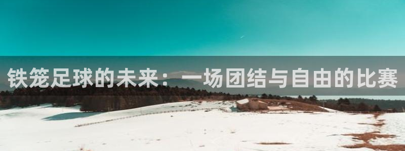铁笼足球的未来：一场团结与自由的比赛