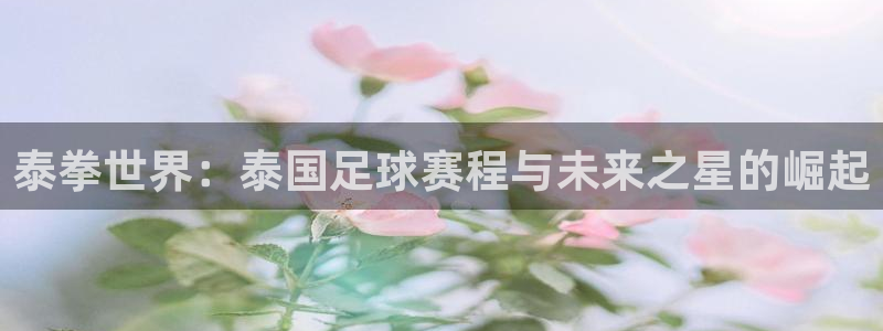 球王会体育平台app：泰拳世界：泰国足球赛程与未来之星的崛起